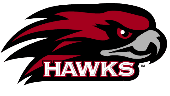 St. Joseph's Hawks 2001-Pres Alternate Logo v3 iron on transfers for clothing...